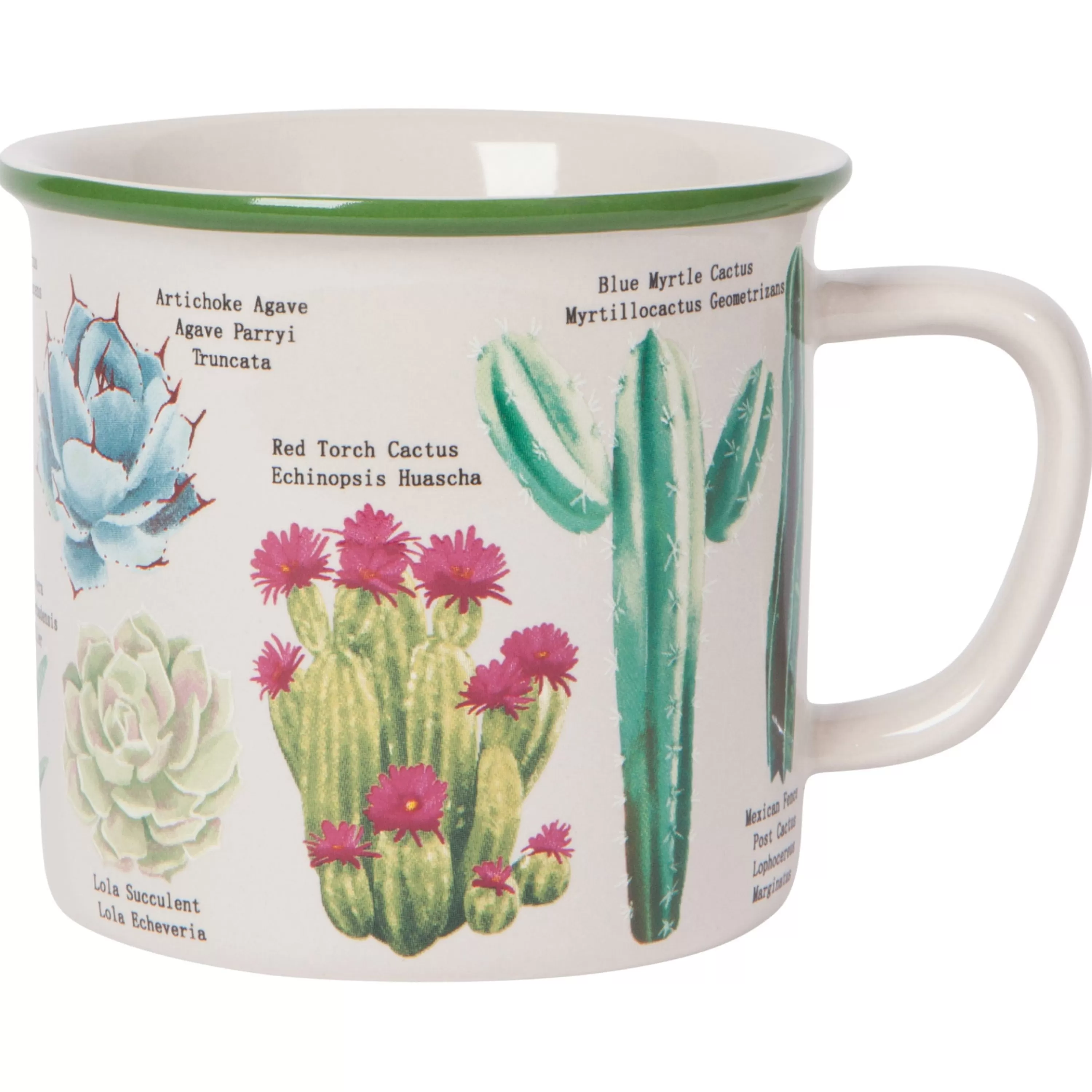 Sale Danica Botanical Cacti Heritage Mug
