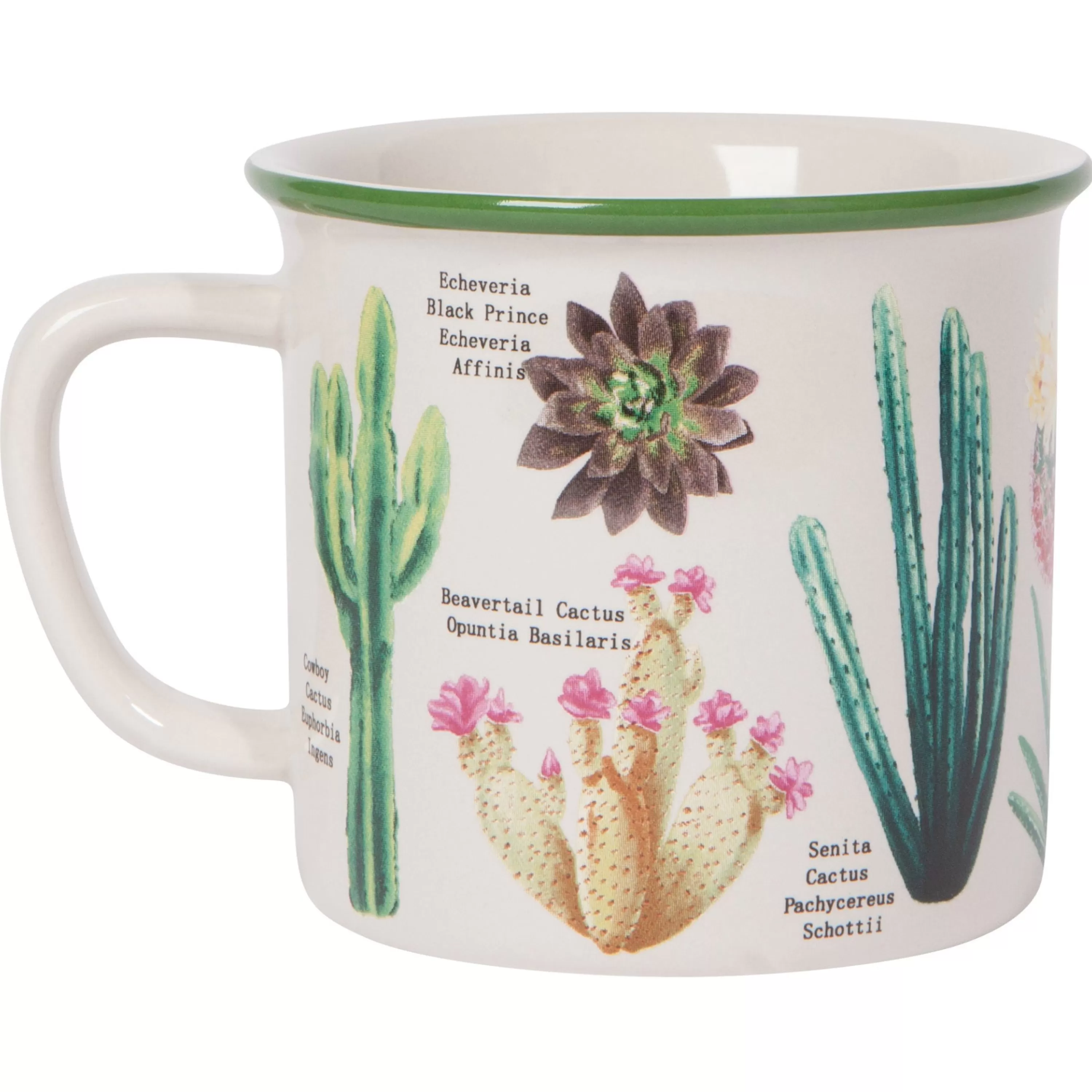 Sale Danica Botanical Cacti Heritage Mug