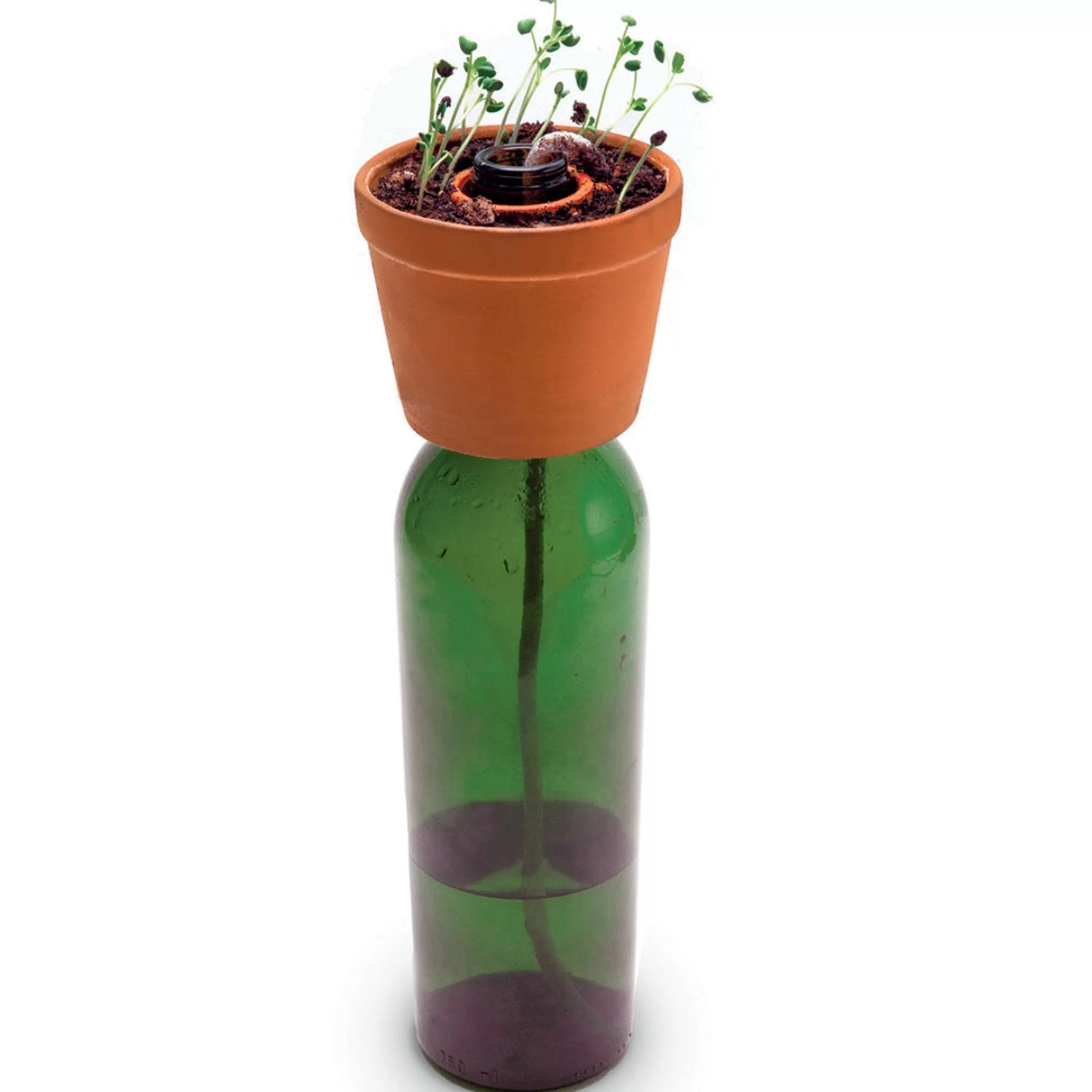 Outlet Kikkerland Bottle Planter