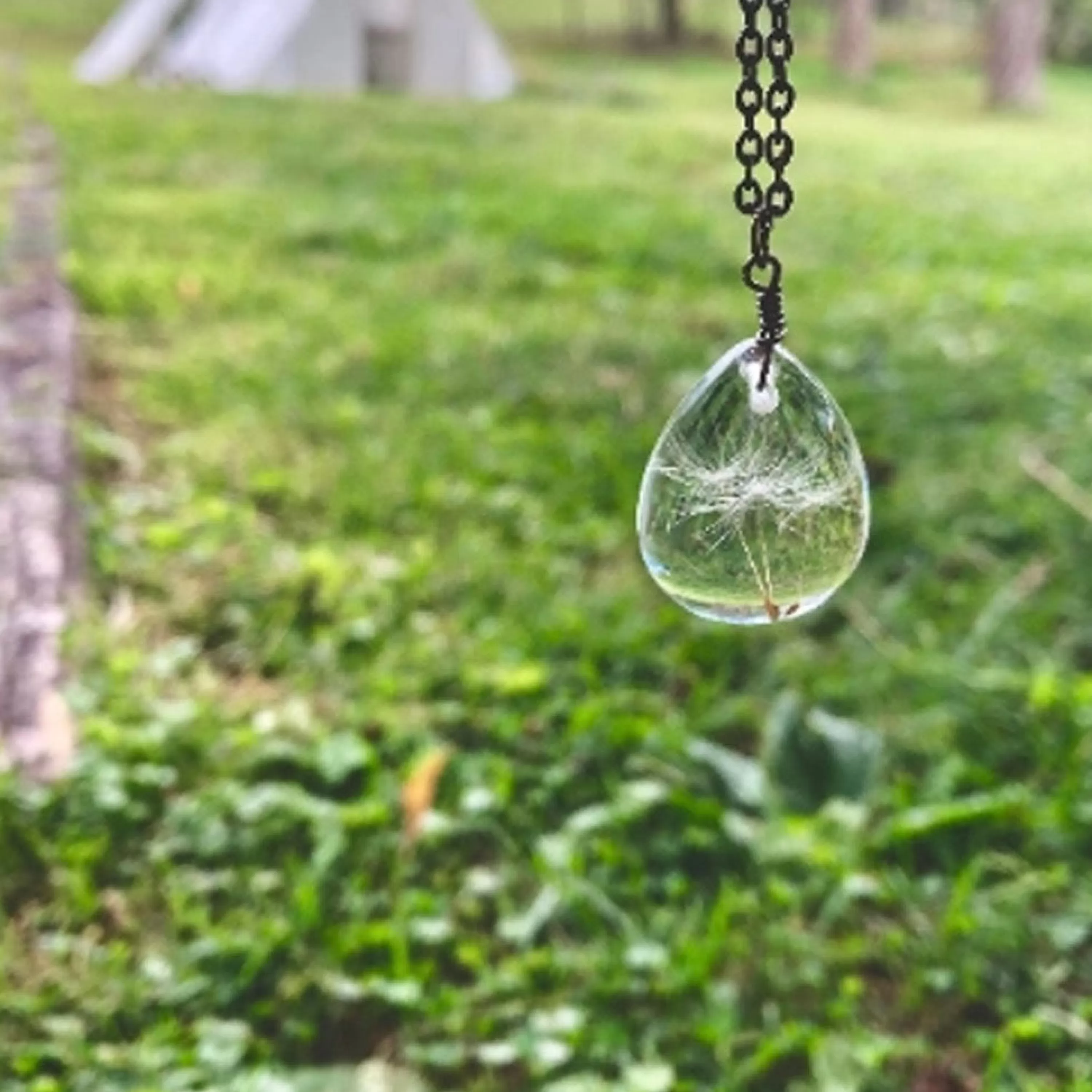 Best Sale The Pretty Pickle Dandelion Seed Necklace Gunmetal