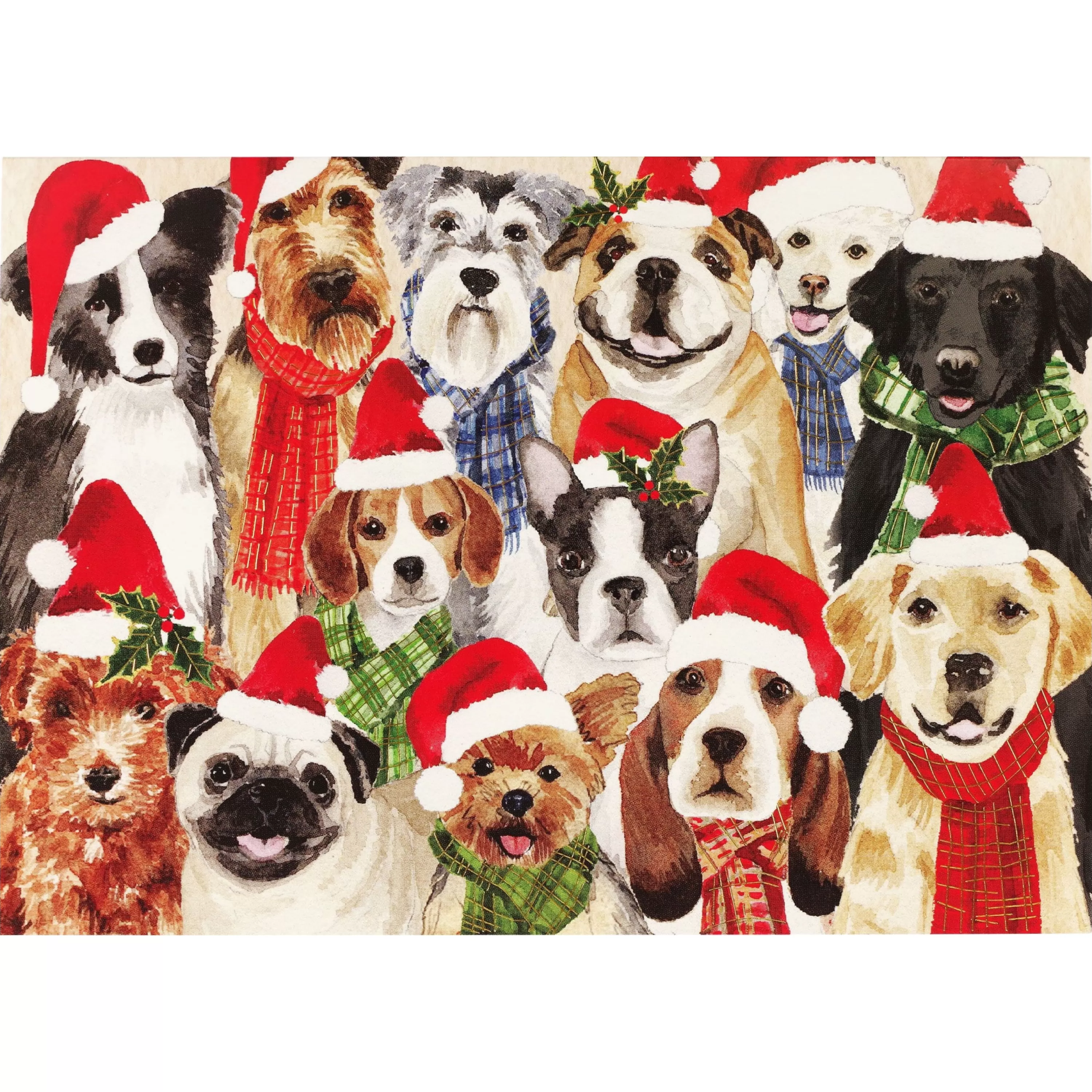 Peter Pauper Press Deck The Dogs Boxed Holiday Cards