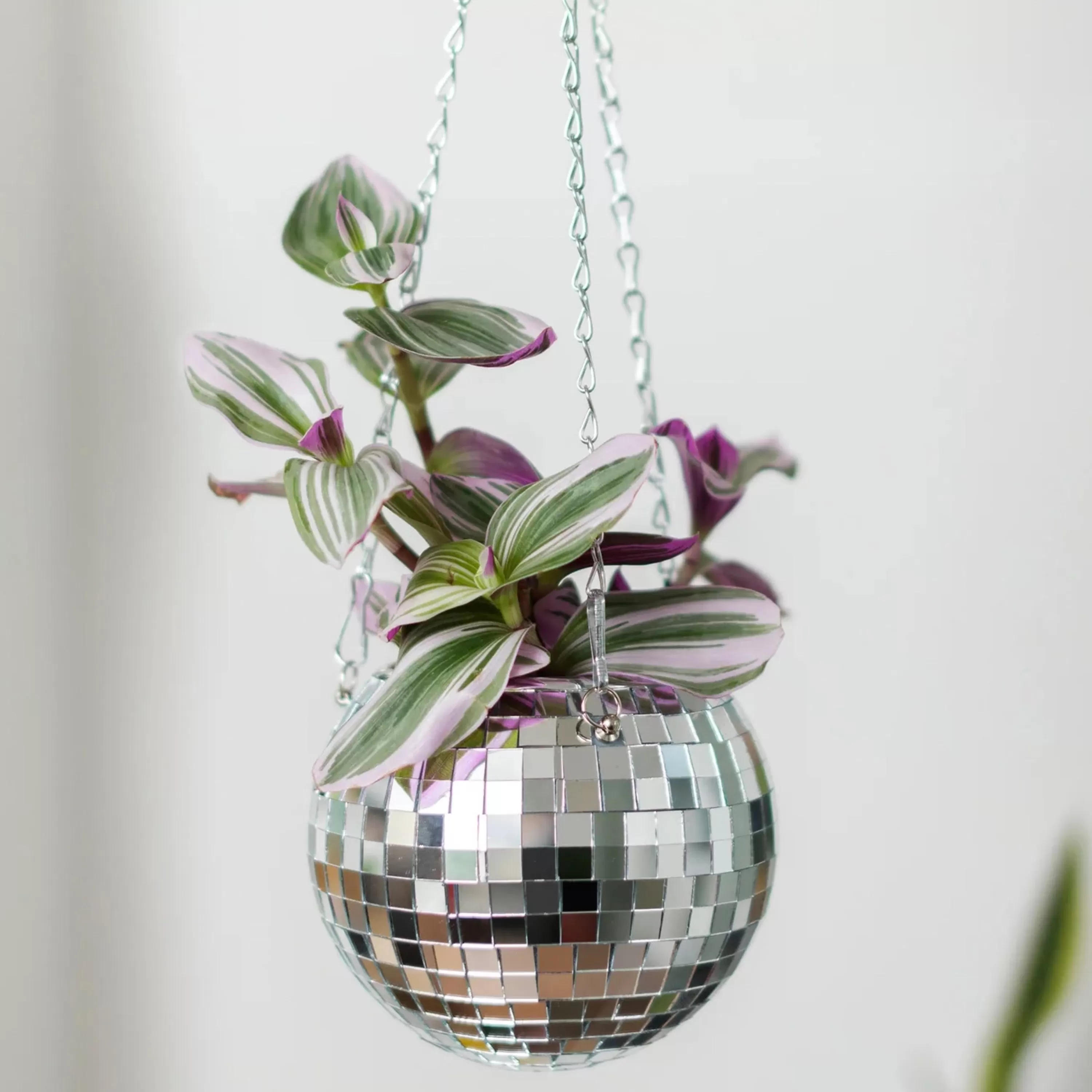 Best Sale Bubblegum Stuff Disco Ball Hanging Planter 6 Inch