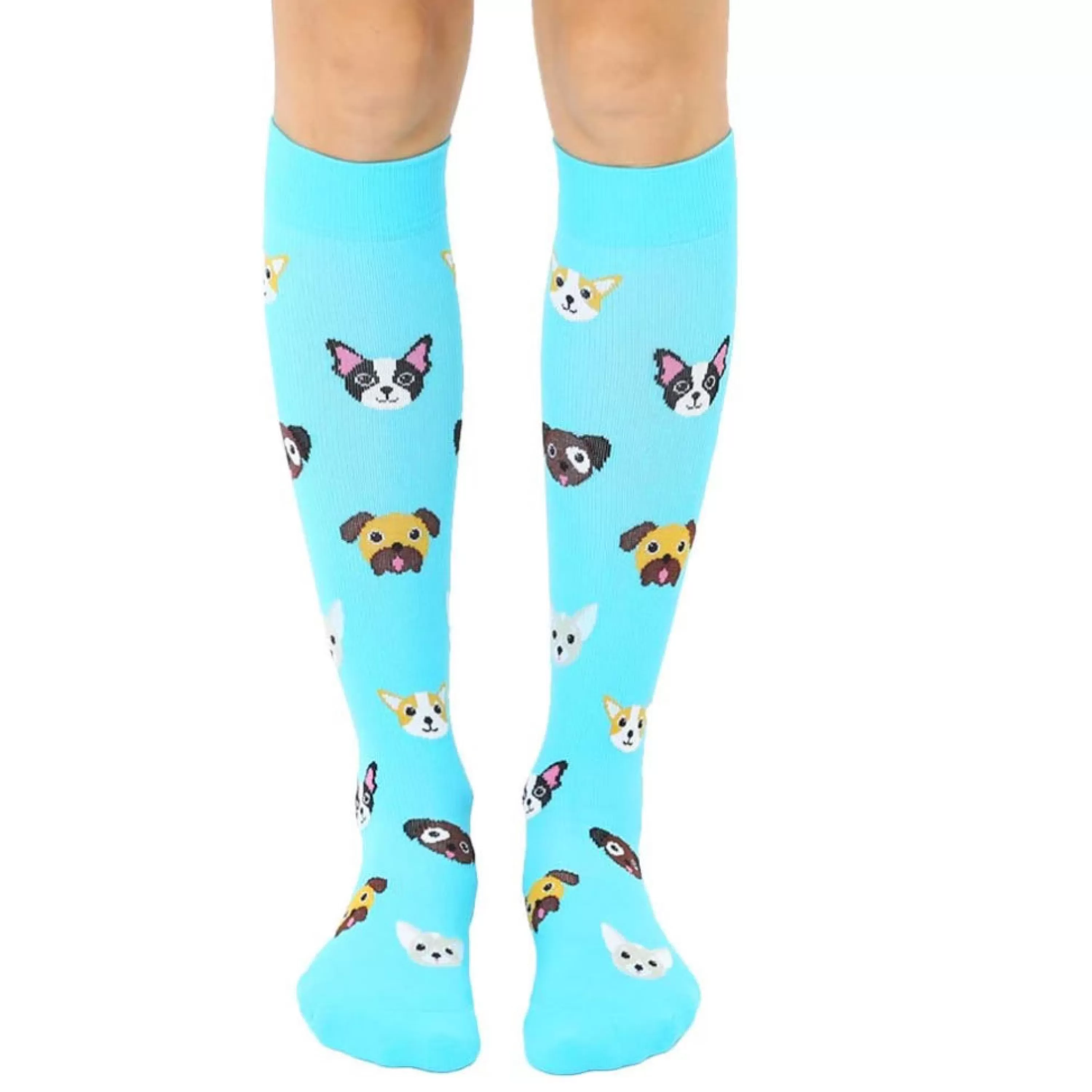 Discount Living Royal Dog Compression Socks