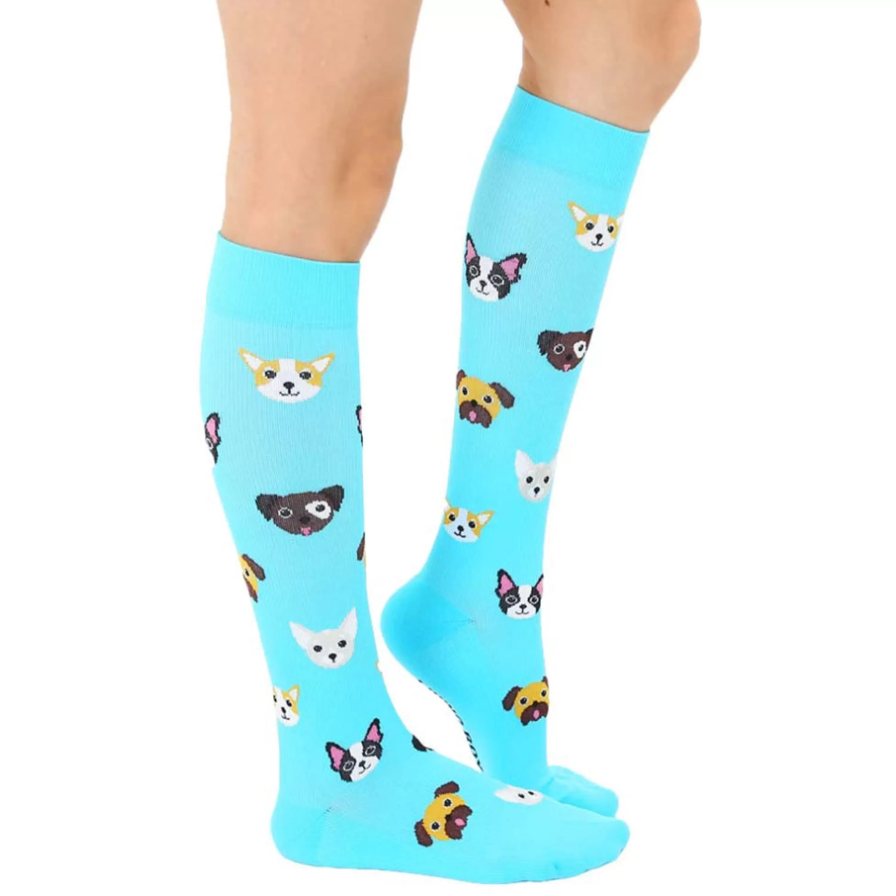 Discount Living Royal Dog Compression Socks