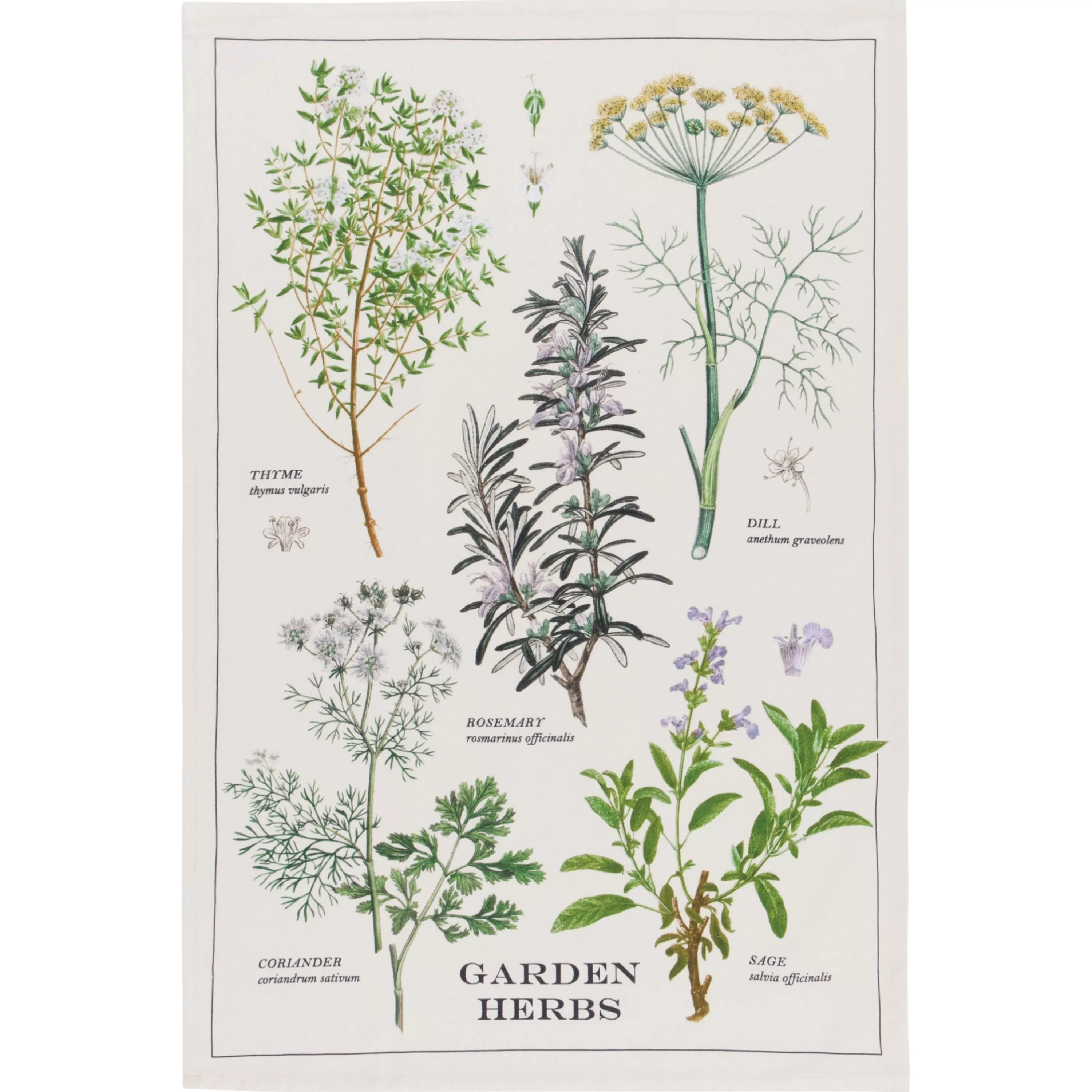 Cheap Danica Garden Herb Tea Towel