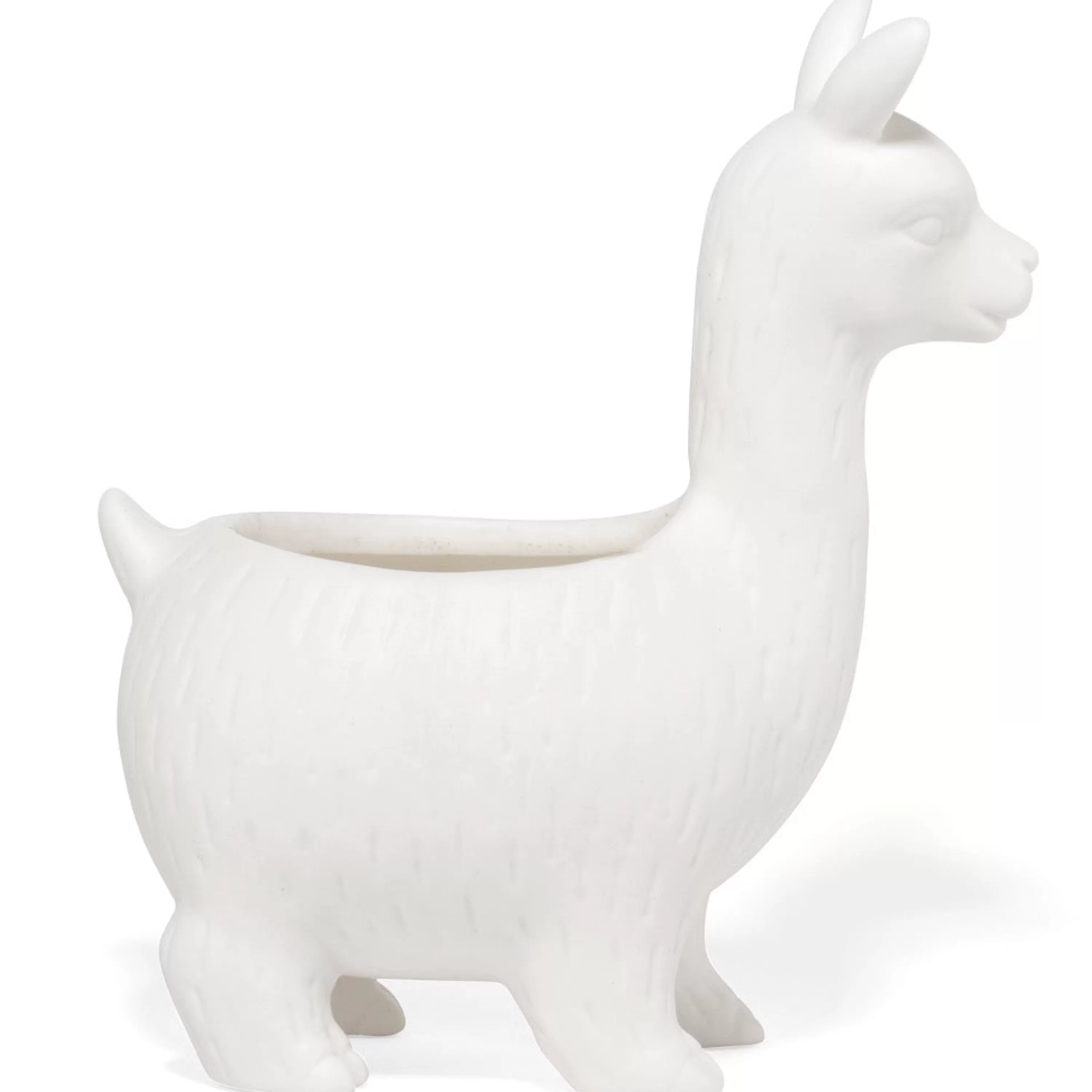 Cheap Kikkerland Lloyd The Llama Planter