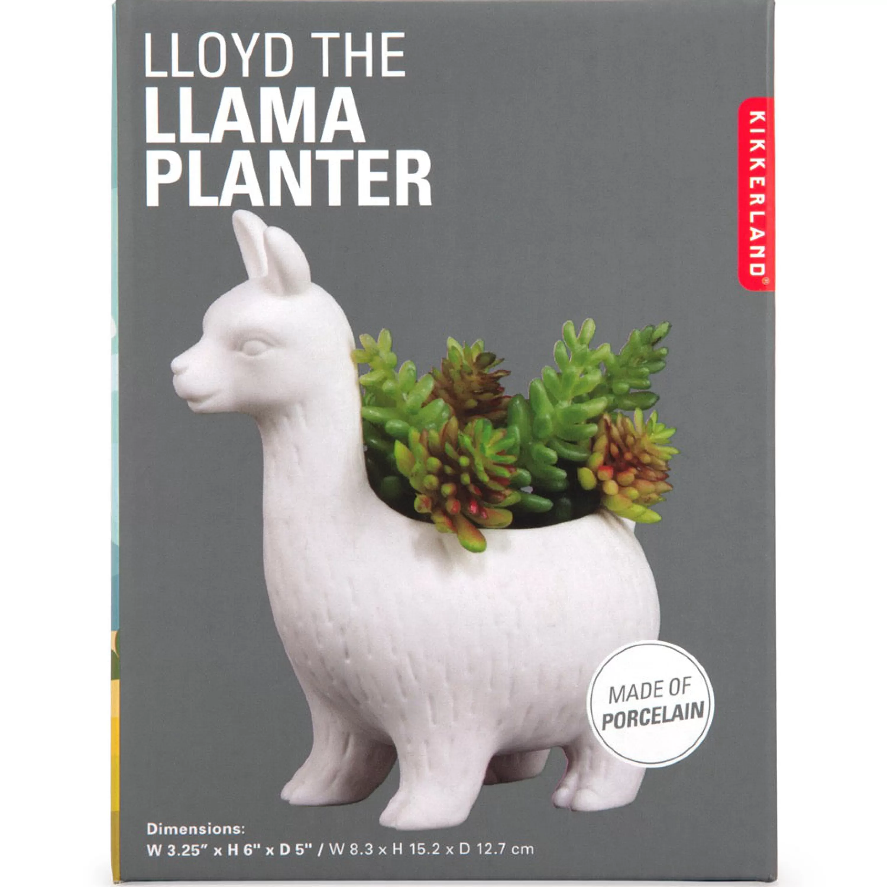 Cheap Kikkerland Lloyd The Llama Planter