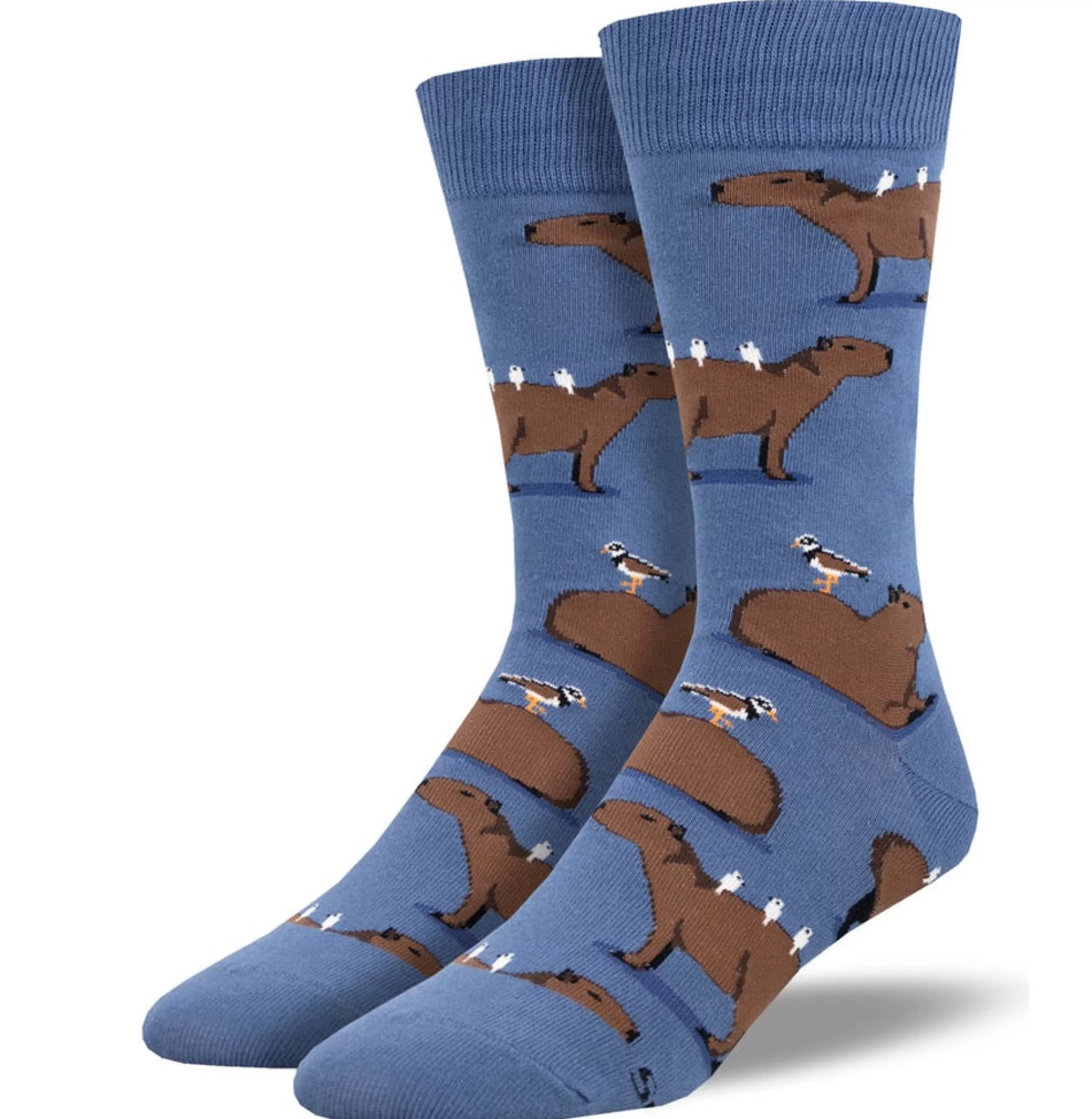 Store SockSmith Men's Capybara Socks Blue