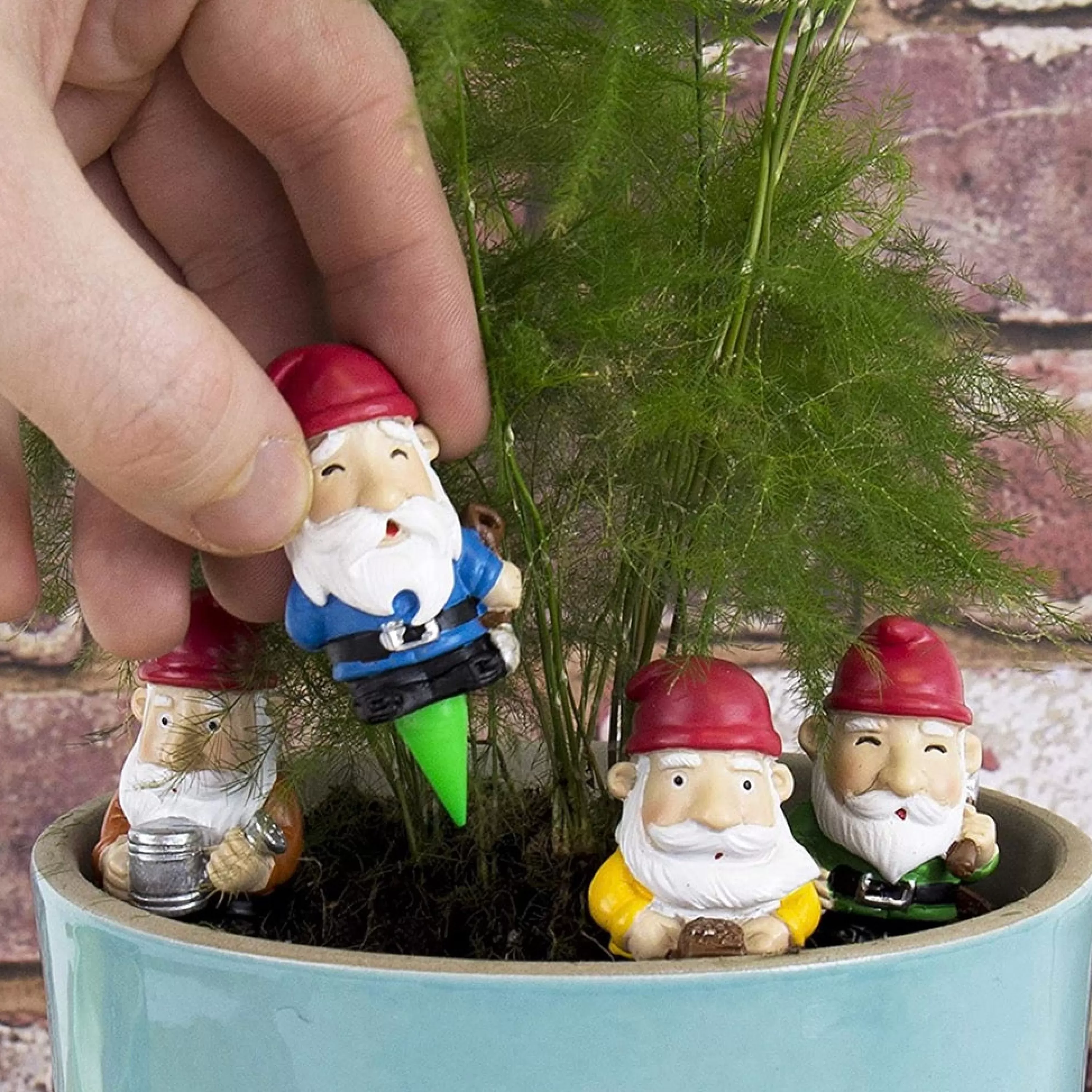 Best Sale Gift Republic Mini Plant Pot Gnomes