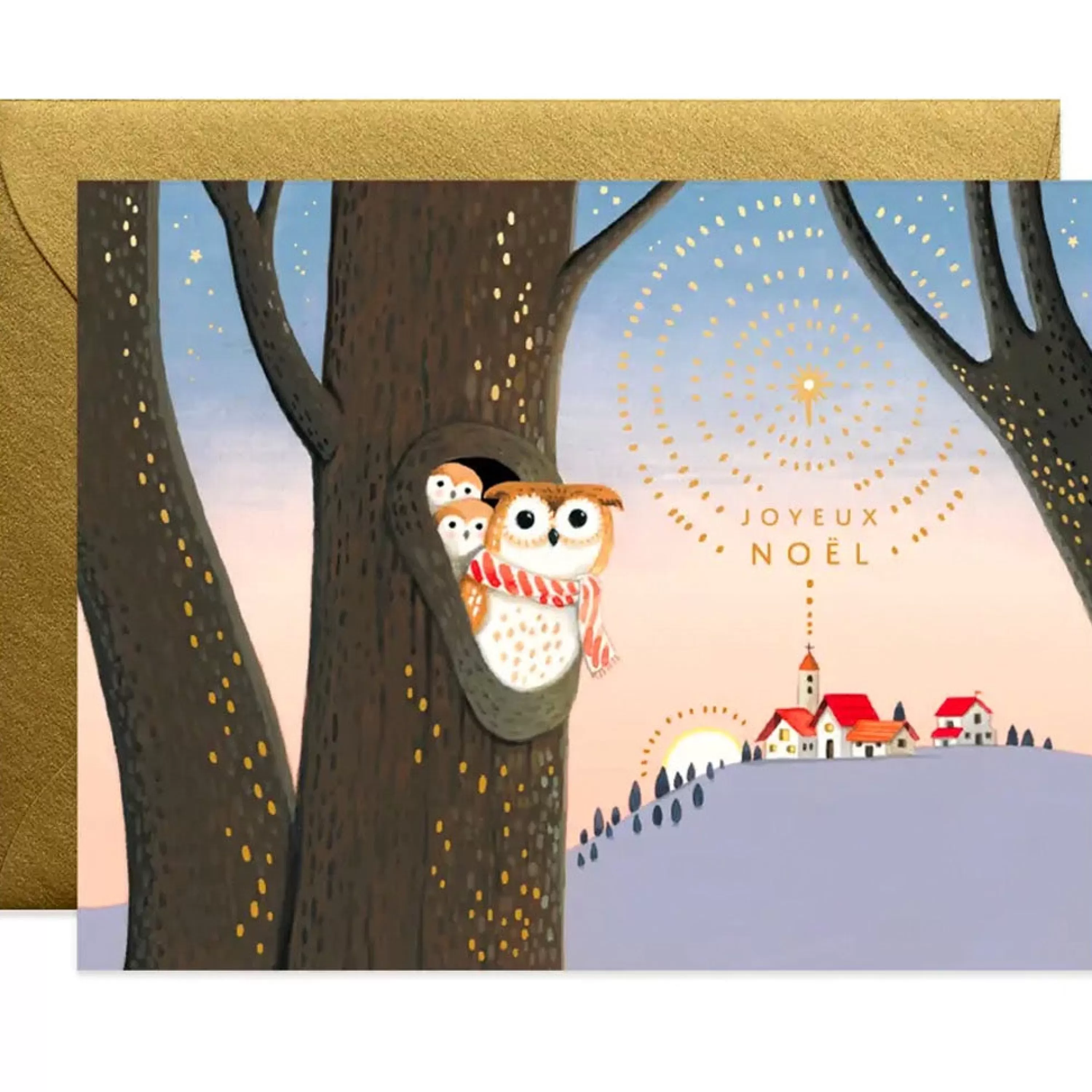 JooJoo Paper Owls Noel Card