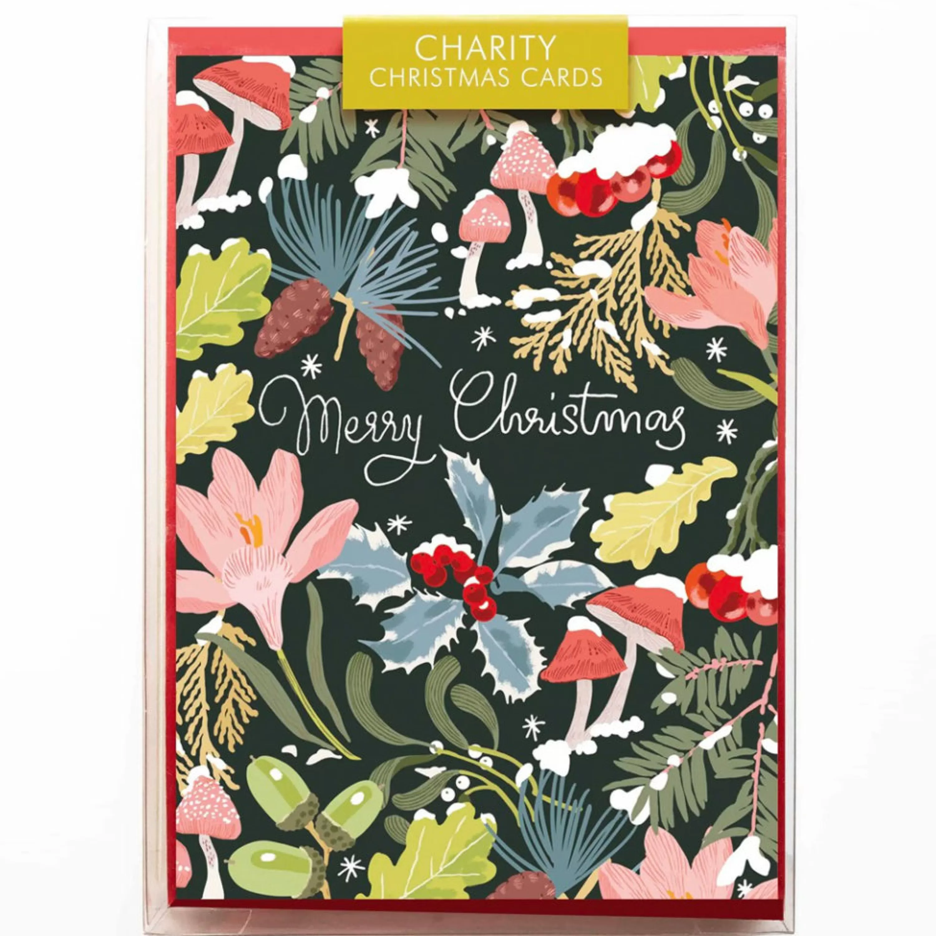 Noi Publishing Pastel Christmas Florals Charity Boxed Holiday Cards