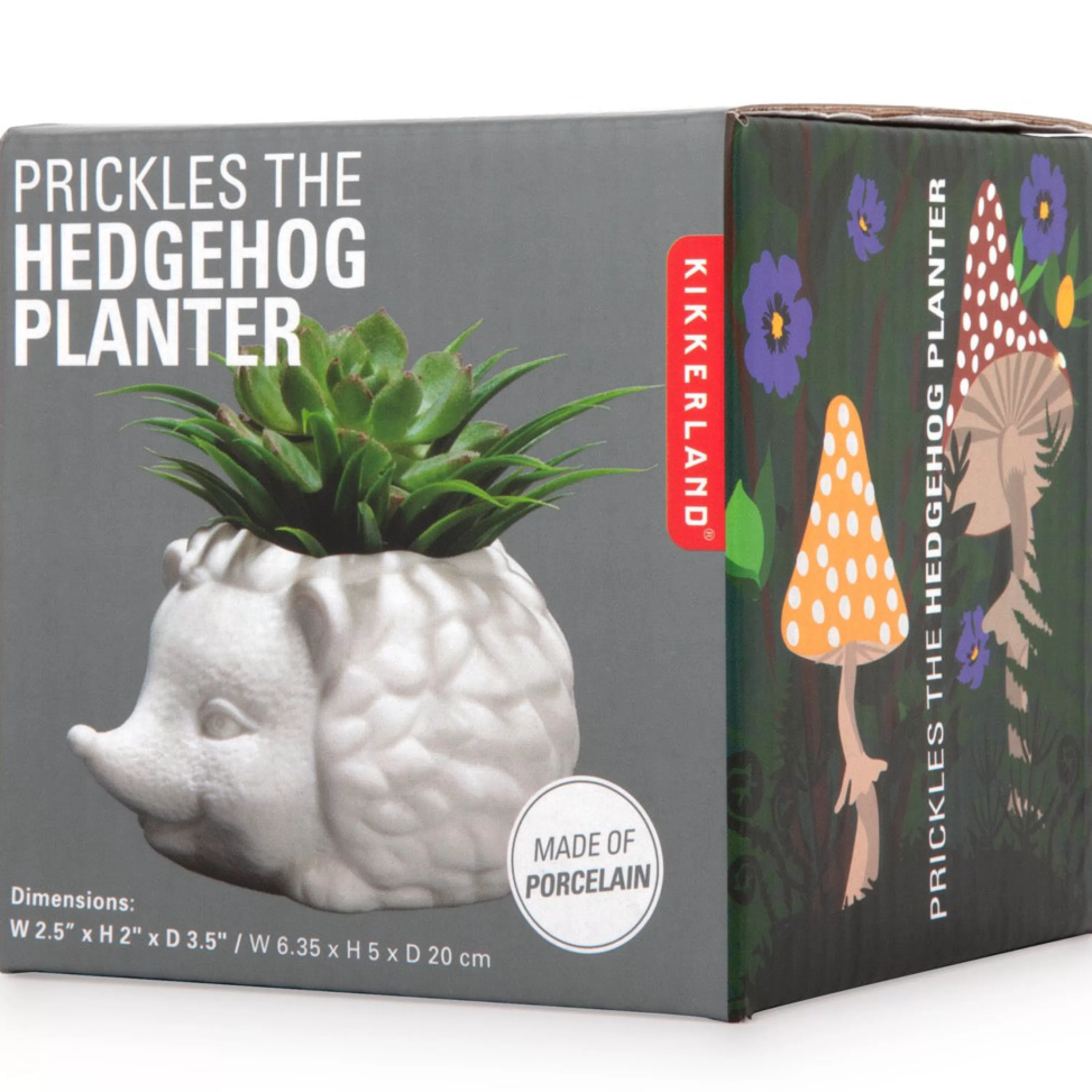 Best Sale Kikkerland Prickles The Hedgehog Planter