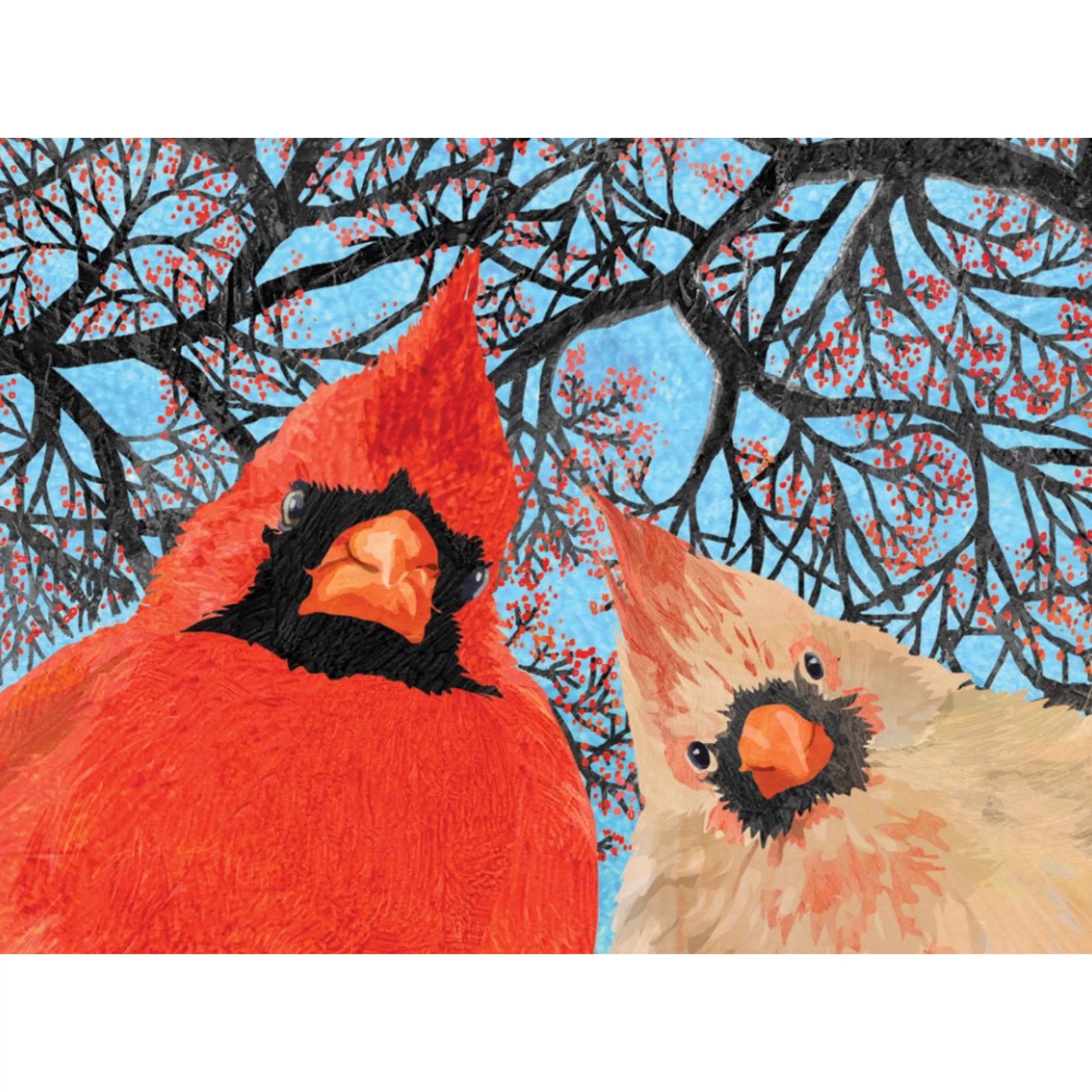 Allport Editions Quirky Cardinals Boxed Holiday Cards