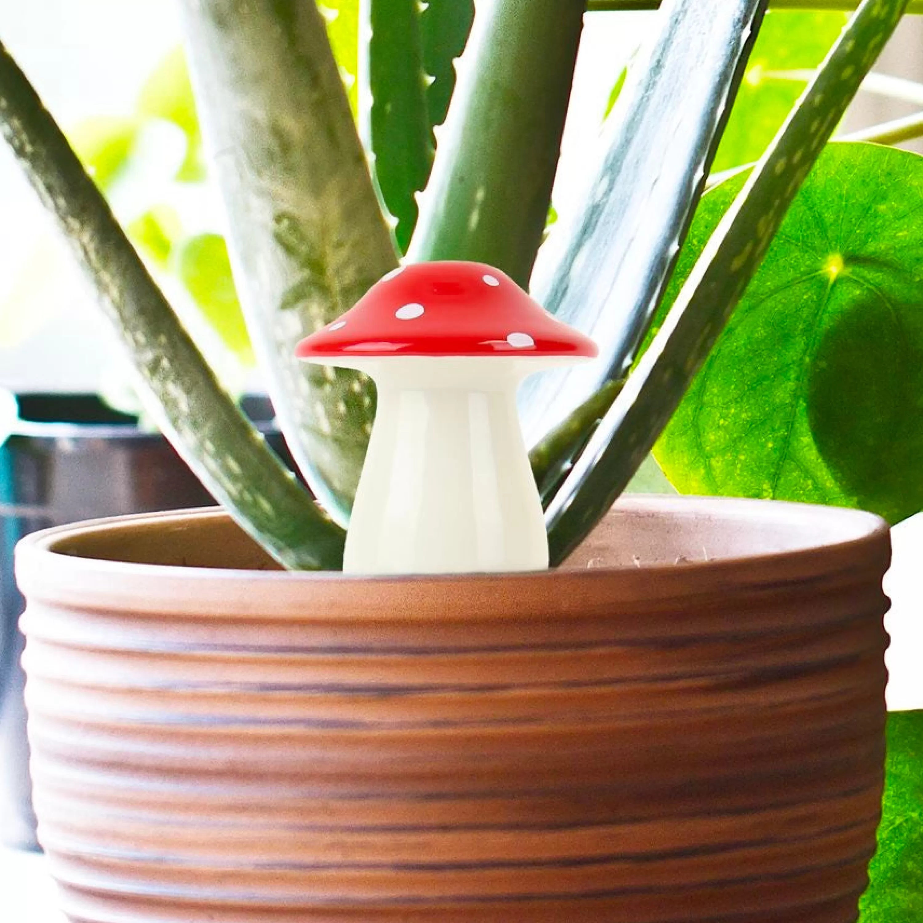 Cheap Gift Republic Self Watering Mushroom