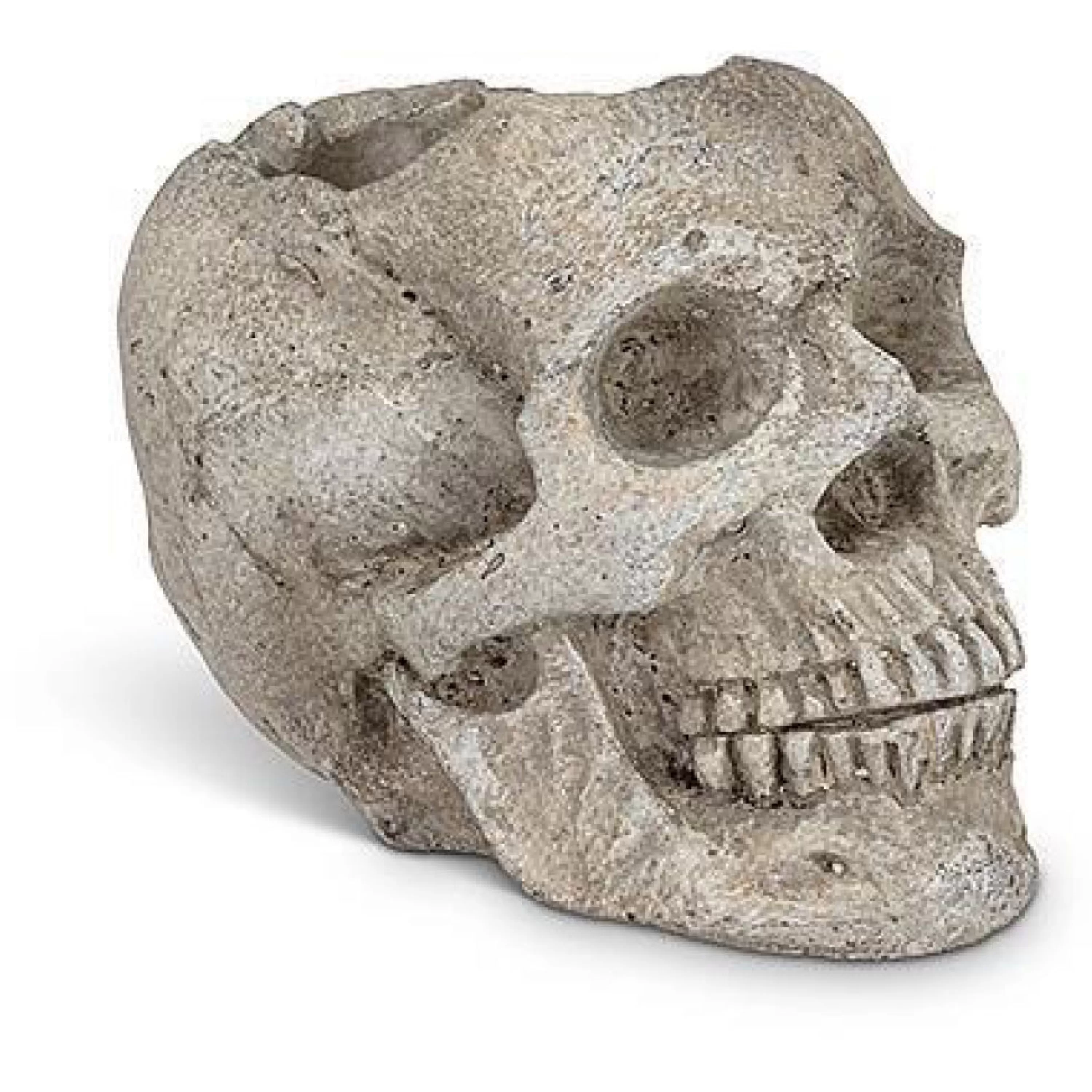 Best Sale Abbott Collection Skull Planter / Tealite Holder Small