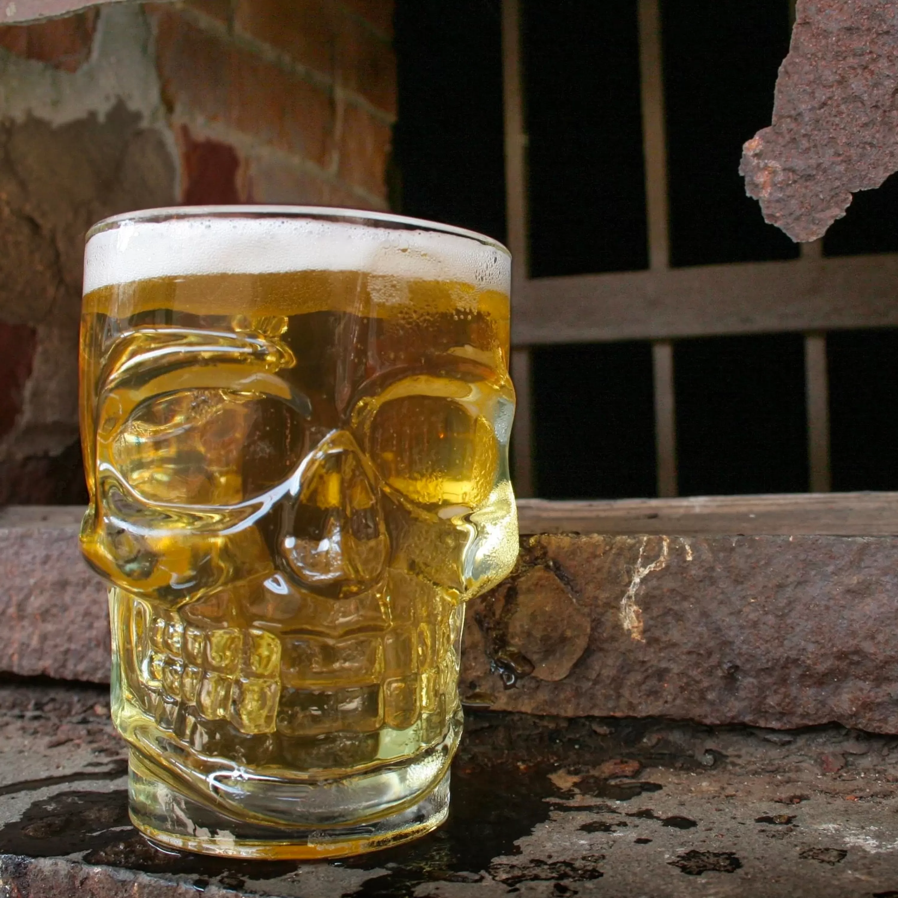 Discount Kikkerland Skull Stein Beer Mug