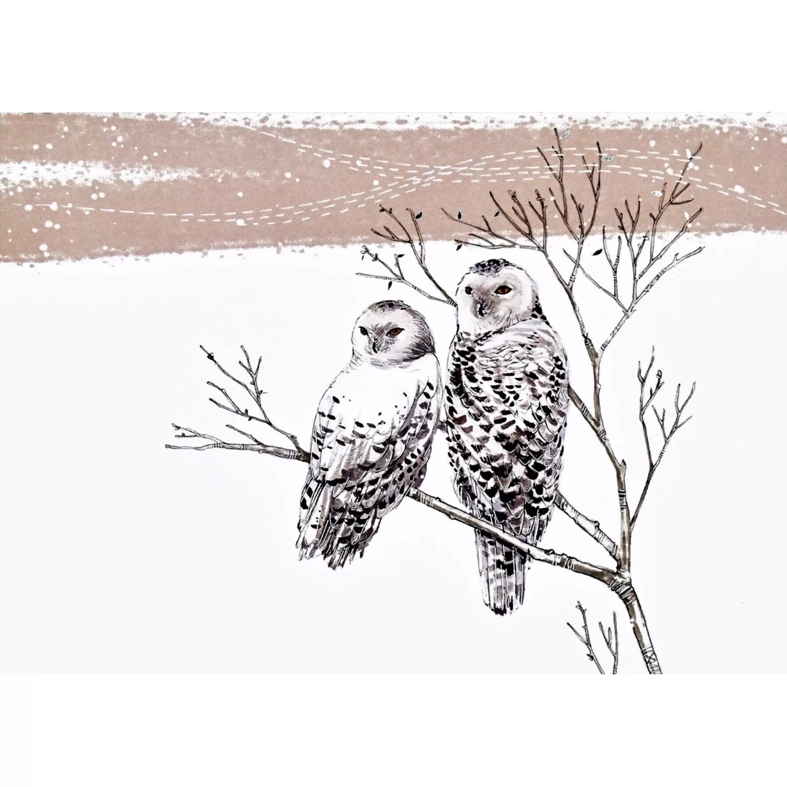 Peter Pauper Press Snowy Owls Boxed Holiday Cards