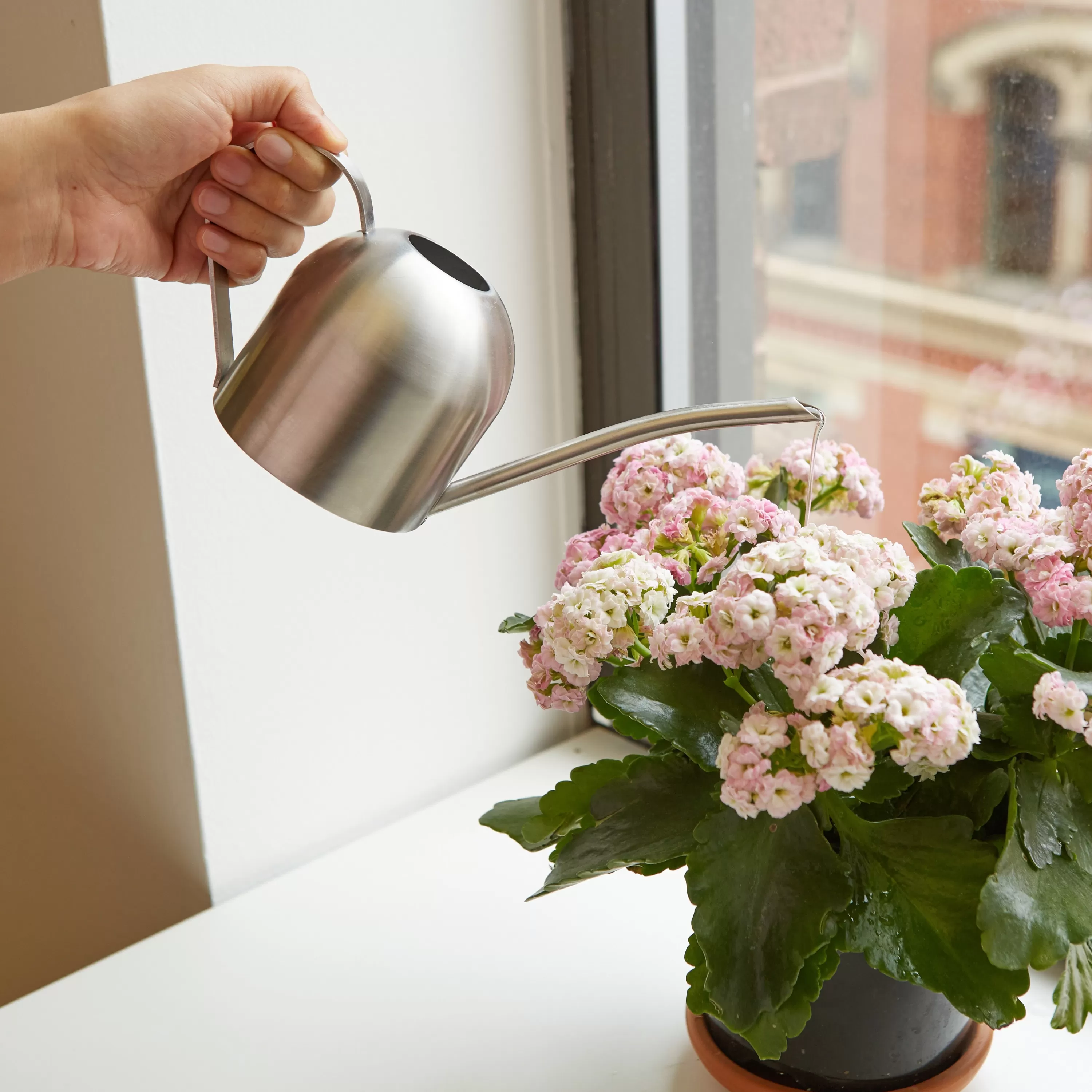 Fashion Kikkerland Stainless Steel Watering Can