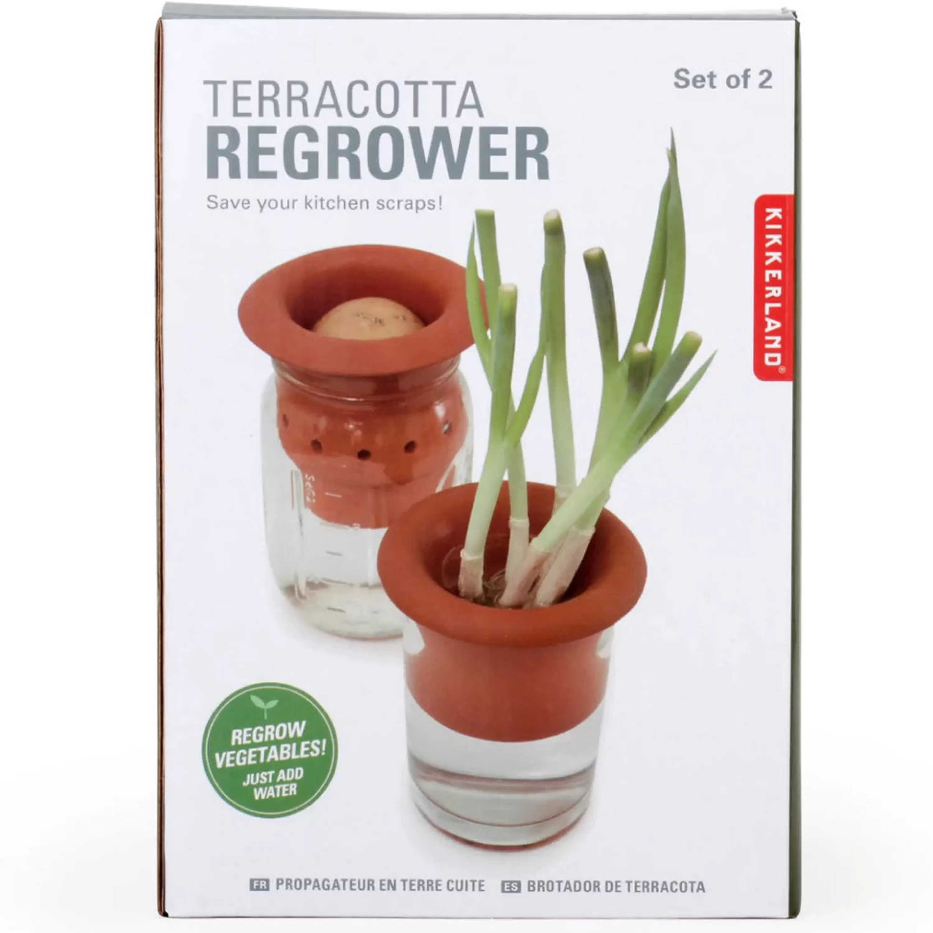 Best Kikkerland Terracotta Regrower