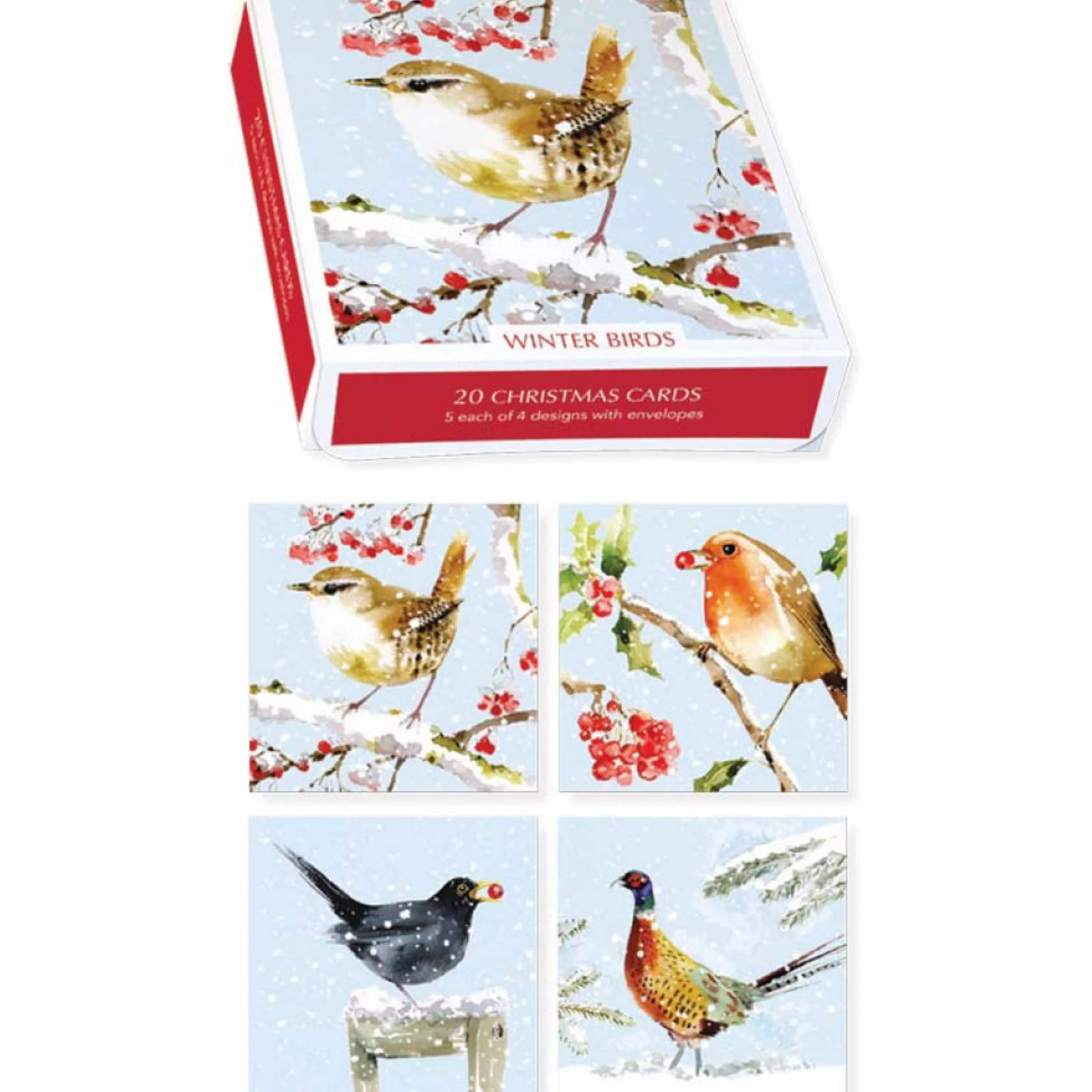 Museums & Galleries Winter Birds Boxed Holiday Cards