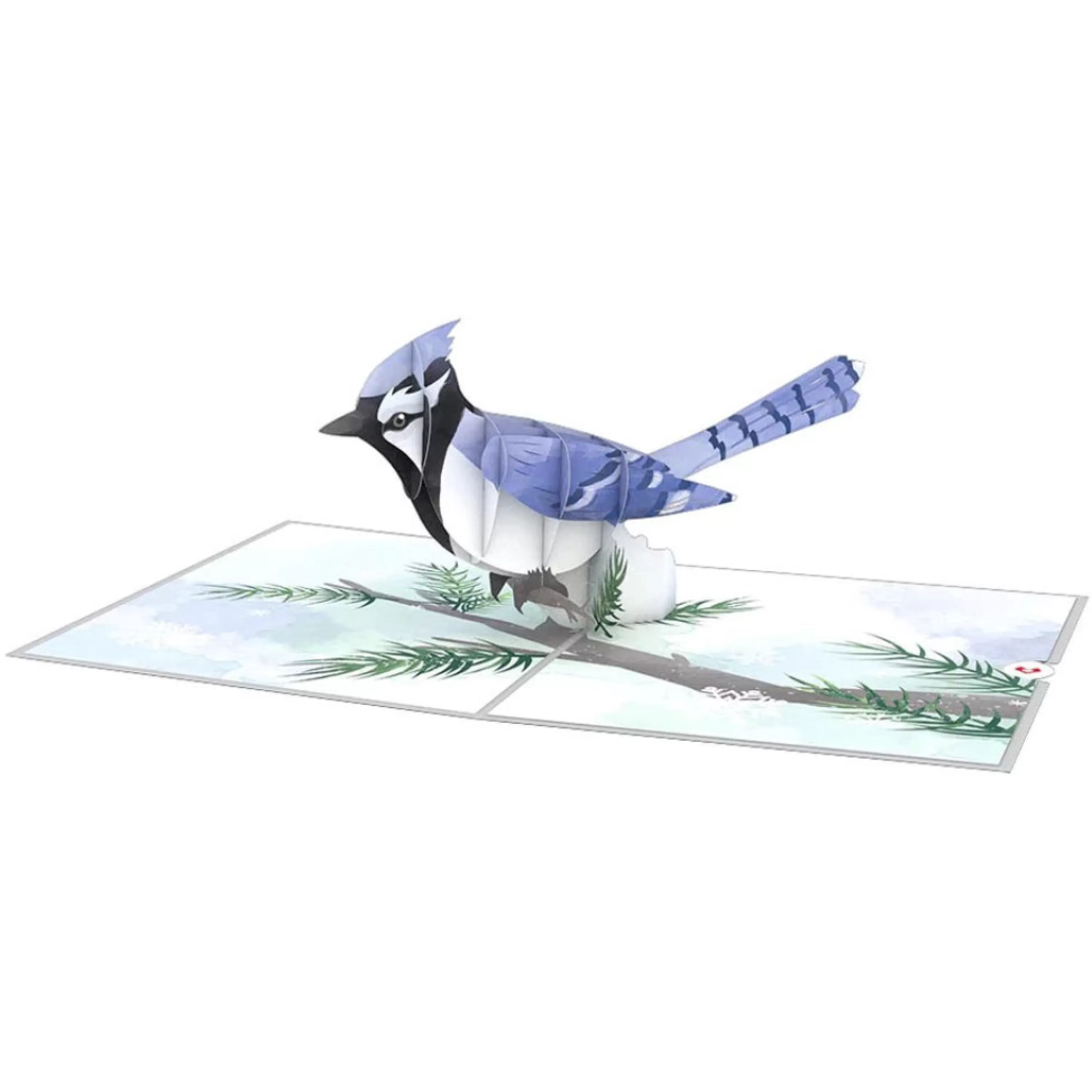 Lovepop Winter Blue Jay 3D Pop-Up Card