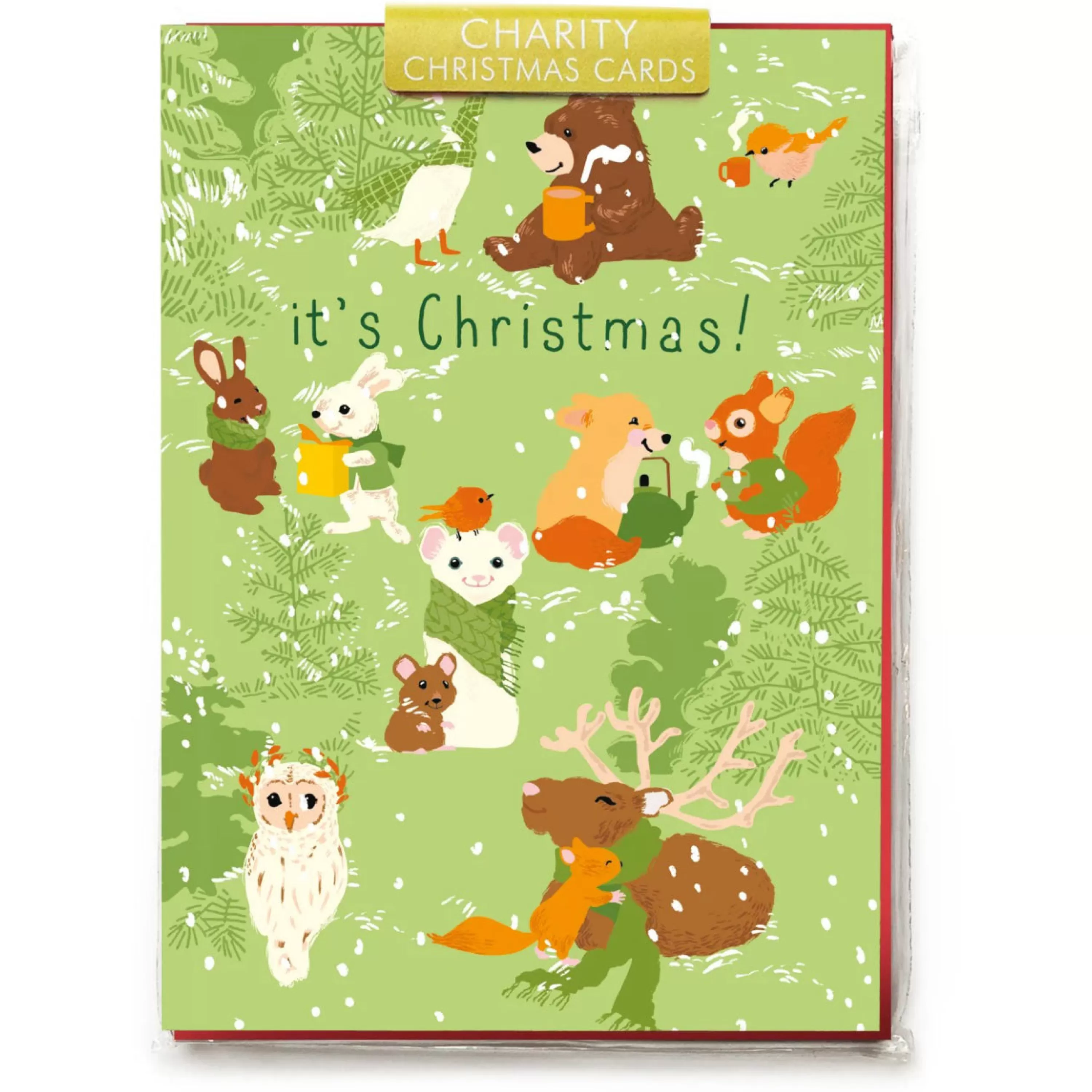 Noi Publishing Winter Woodland Animals Cello Pack Holiday Cards