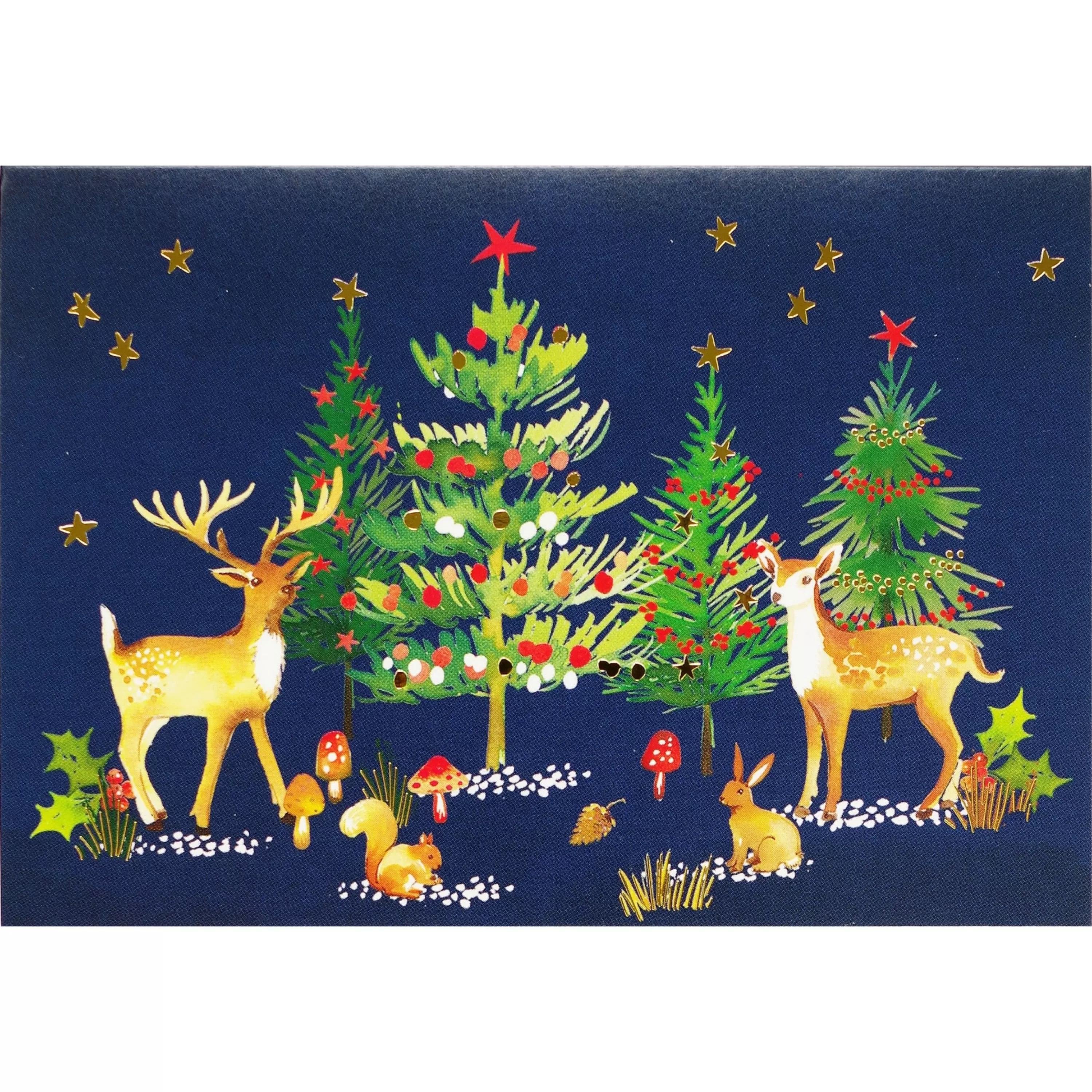 Peter Pauper Press Woodland Wonder Boxed Holiday Cards